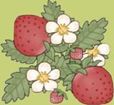 U Pick Strawberries mascot - strawberry and leaves 