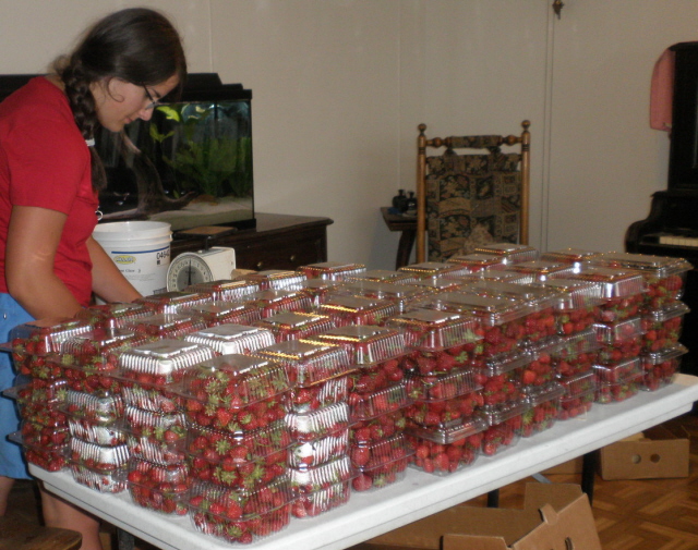 Rachel filling strawberry orders. 