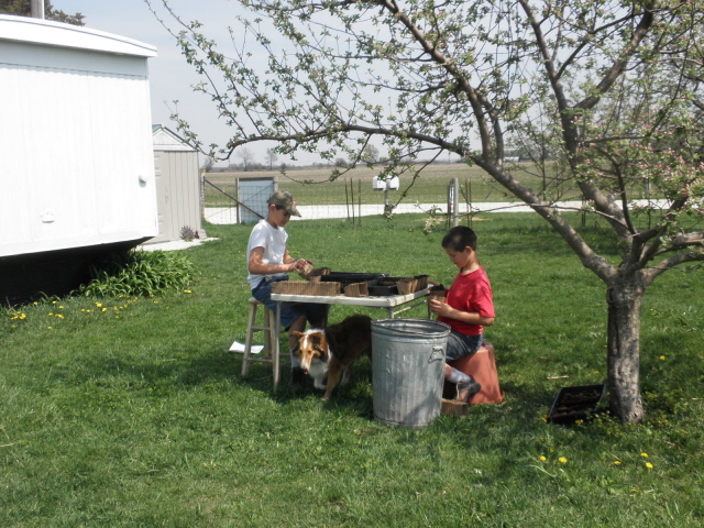 Caleb and Tim potting for the greenhouse. 