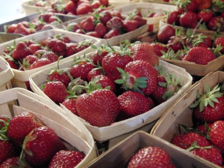 U Pick Strawberries logo
