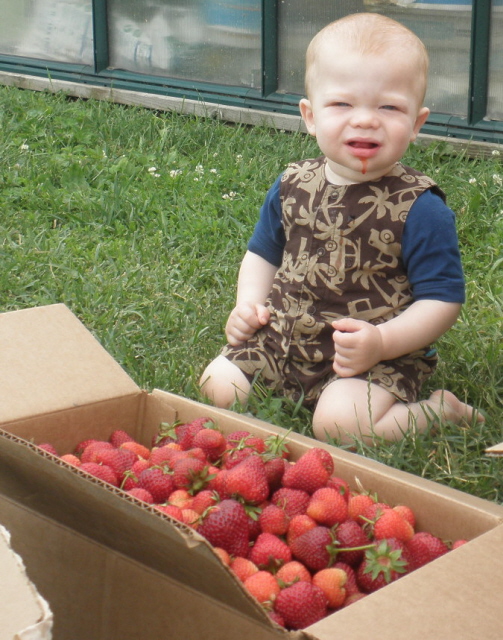 The youngest picker!. 